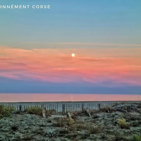 Mini Independante A 350m De La *