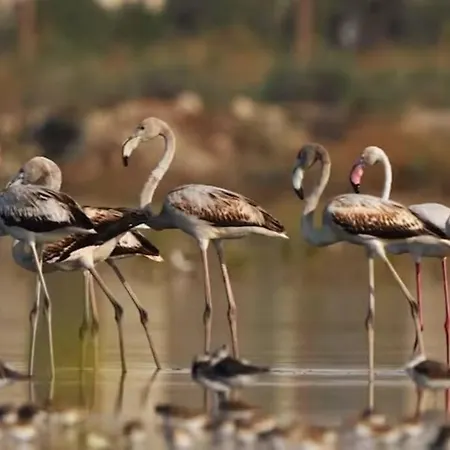 Casa vacanze Mini Indépendante à 350m De La