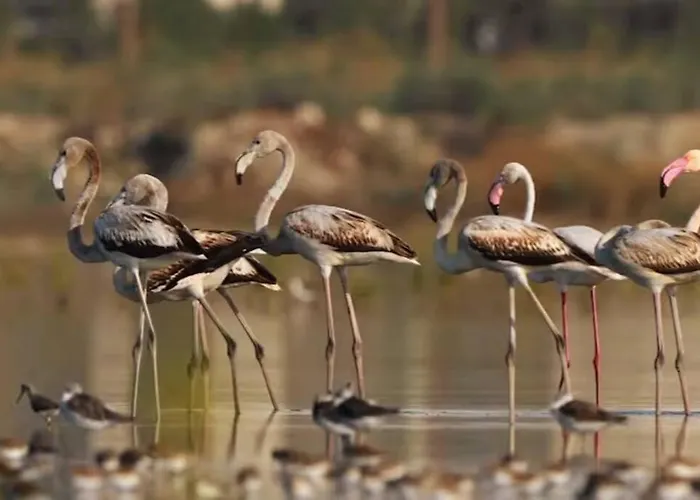 Feriehus Mini Independante A 350m De La