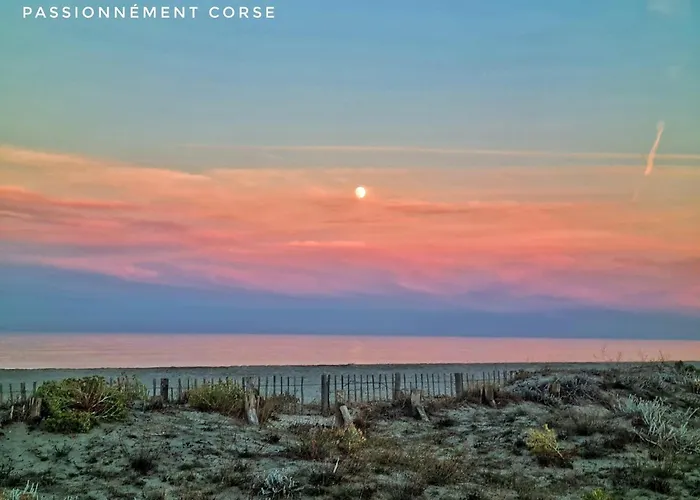 Mini Independante A 350m De La *